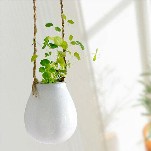 Planter Flower Pot Plant Bulb Vase