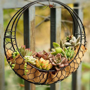 Metal Succulent Pot Hanging Basket